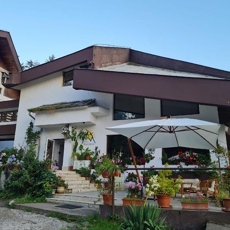 Randunica Hotel Valiug Exterior photo